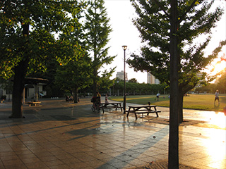 夕日の公園。