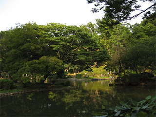 有栖川宮記念公園 池。
