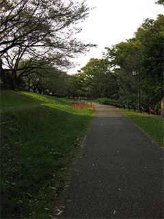 多摩川 河川敷公園。
