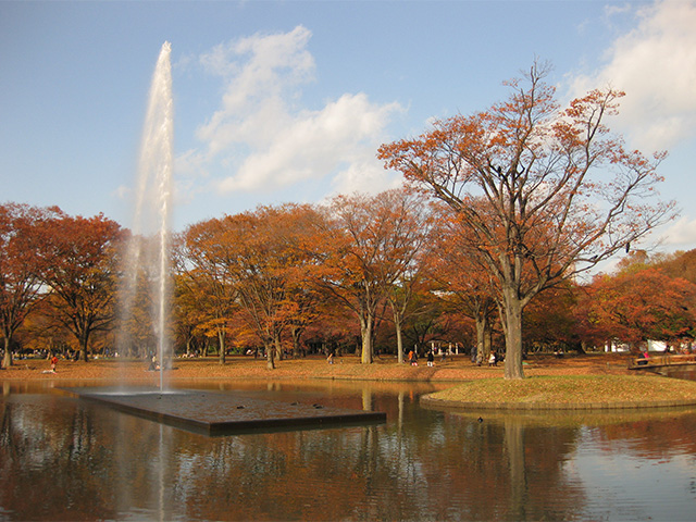 代々木公園の池と紅葉。
