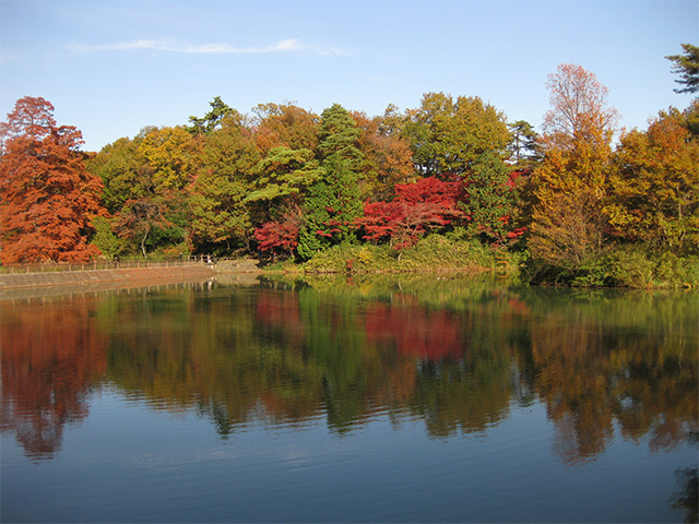 池に映し出される紅葉。