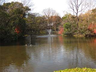 和田堀公園　池と噴水。