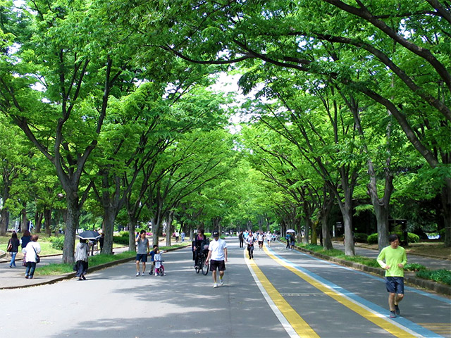 うおォン 肉といったら肉フェスだろうが 駒沢公園 肉フェス Tokyo 15 風と緑と散歩道