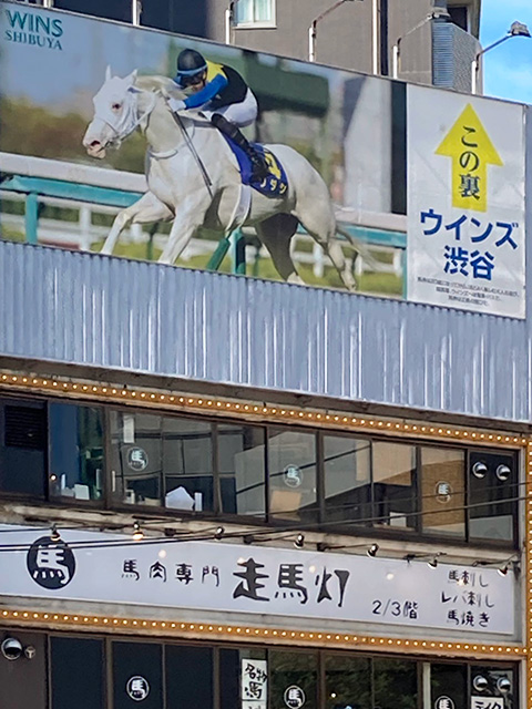 ウィンズ渋谷のソダシの看板