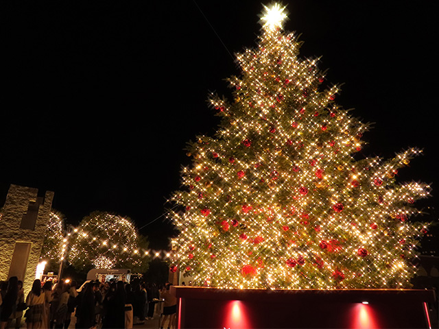 恵比寿ガーデンプレイス　クリスマスツリー