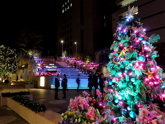 日比谷ステップ広場 クリスマスツリー