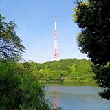 鶴見川・三ツ池公園ウォーク with TOKYO FM。